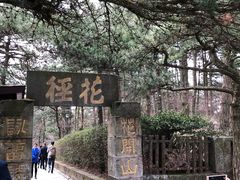-庐山风景区花径公园