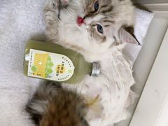 -奈雪的茶(中海环宇荟店)