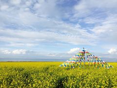 -青海湖国家重点风景名胜区