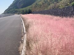 -长岛南北长山旅游景区