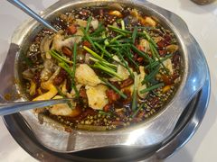 -乡土特色.冷锅鱼.牦牛肉汤锅