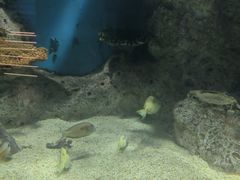 -福州罗源湾海洋世界旅游区