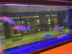 -大江户·温泉洗浴(浑南店)