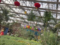 -南宫五洲植物乐园