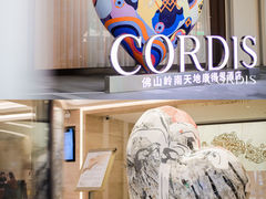-佛山岭南天地康得思酒店