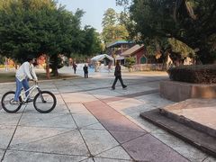 -金砂公园