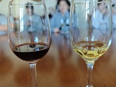 -北京张裕爱斐堡酒庄