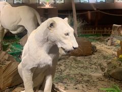 -陕西自然博物馆