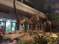 -自贡恐龙博物馆