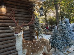 -HERRE·FARM 赫尔露营农场·团建聚会包场