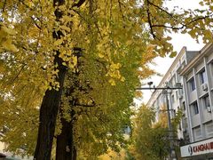 -老鼎万春卤菜(五代传承创始老店)