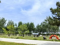 -汉长安城未央宫国家考古遗址公园