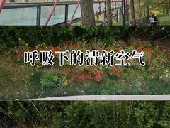 -千岛湖-欢乐水世界