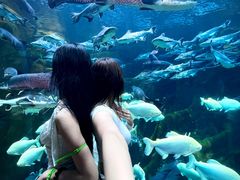 -波塞冬旅游度假区