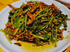 -香满园春饼·家常菜(东大桥店)