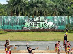 -深圳野生动物园