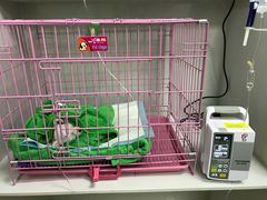 -瑞鹏宠物医院·内科·中兽医·骨科(苗圃店)