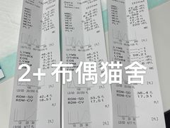 -伟伟宠物医院·CT影像中心·瑞派犬猫综合性门诊(汉口总院)