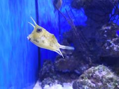 -多彩贵州城极地海洋世界