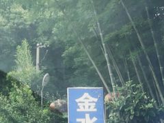 -金水泊山庄·花椒鸡(铁山坪店)