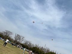 -上海滨江森林公园