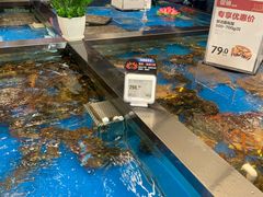 水产区-盒马鲜生(丁香国际店)