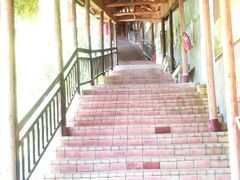 -鲤鱼塘农家山庄