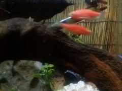 -Together·泰式按摩精油SPA(天山店)