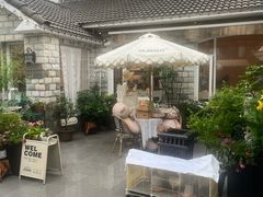 -京北渔家傲