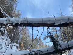 -峡谷浮石林景区