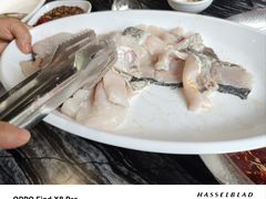 -老船舫·现做活鲜鱼馆(东郊记忆店)