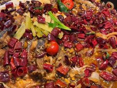 -老板恋上鱼(印象城店)