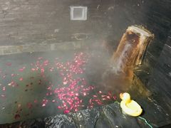 -北京美神宫艺术主题温泉酒店