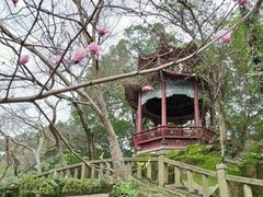 -乌山风景区