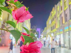 -锦泓老字号猪脏粉(东联大厦店)