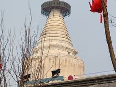 -贵州大厦贵州厅(樱花园西街店)