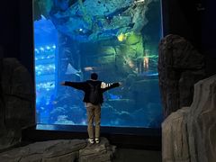 -成都浩海立方海洋公园