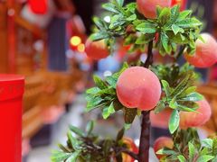 -正阳门饭庄·烤鸭·北京菜(万丰路七里庄店)