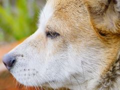 -义乌之心城市生活广场(新马路店)