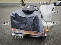 -春花秋色城市公园