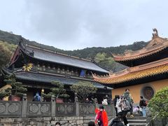 -普陀山风景名胜区-法雨禅寺