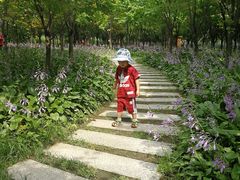 -北山公园