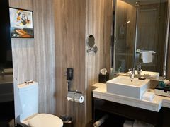 -常州环球恐龙城维景国际大酒店