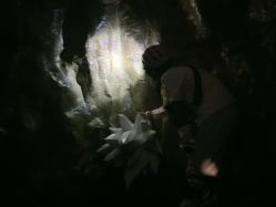 -探洞工场(丰科万达旗舰店)