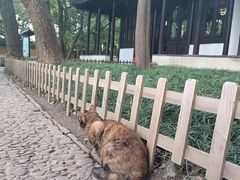 -西园戒幢律寺