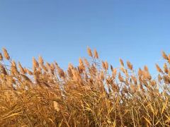 -北外滩百艇汇游艇俱乐部