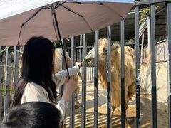 -泉州海丝野生动物世界