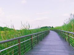 -苏州太湖湖滨国家湿地公园