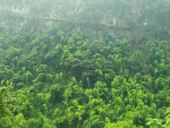 -华蓥山天意谷景区