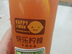芦荟-快乐柠檬happylemon(日月光店)